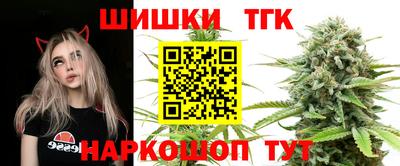 apvp Партизанск