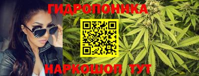 apvp Партизанск