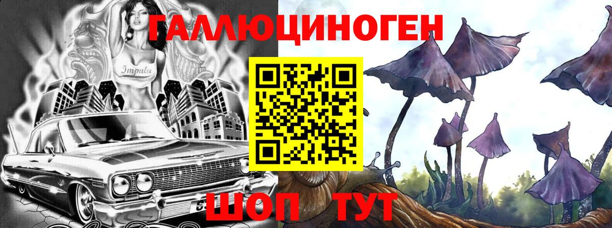 Старая Купавна  Псилоцибиновые грибы Psilocybine cubensis  Вход с VPN 