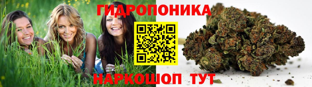 Канабис семена Старая Купавна
